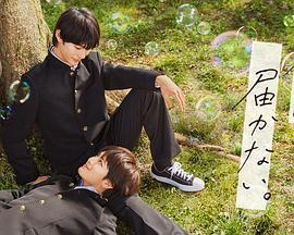 兼职seo怎么做推广